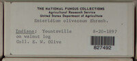 Image Associated With the Occurence